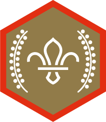 Chief Scout's Gold Award